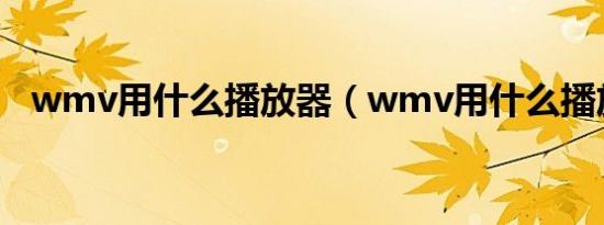 wmv用什么播放器（wmv用什么播放器）