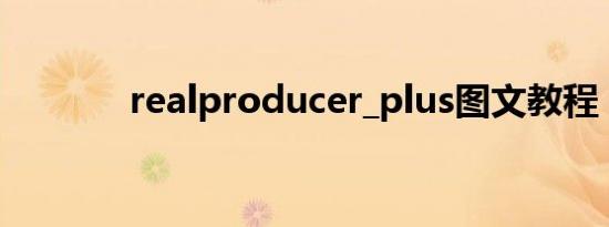 realproducer_plus图文教程