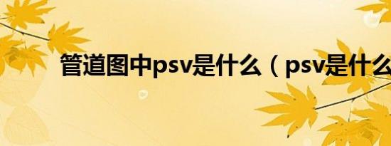 管道图中psv是什么（psv是什么）