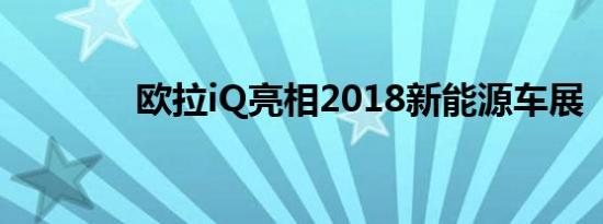 欧拉iQ亮相2018新能源车展