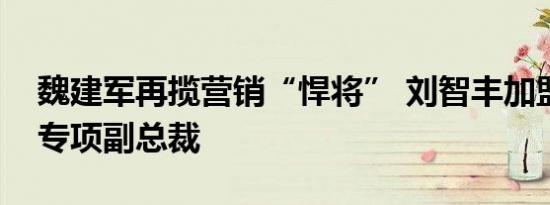 魏建军再揽营销“悍将” 刘智丰加盟长城任专项副总裁