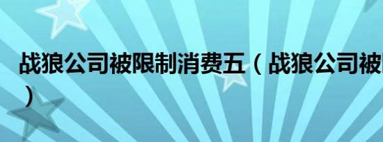 战狼公司被限制消费五（战狼公司被限制消费）