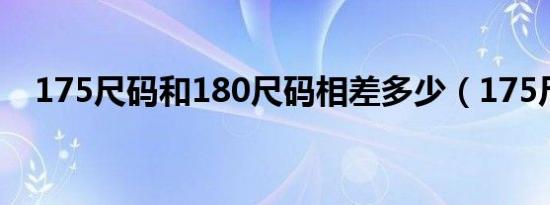 175尺码和180尺码相差多少（175尺码）