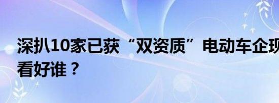 深扒10家已获“双资质”电动车企现状 你最看好谁？