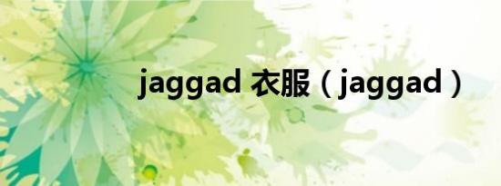 jaggad 衣服（jaggad）