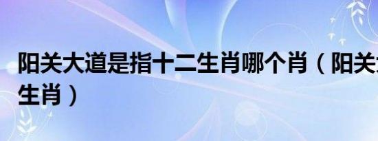 阳关大道是指十二生肖哪个肖（阳关大道打一生肖）