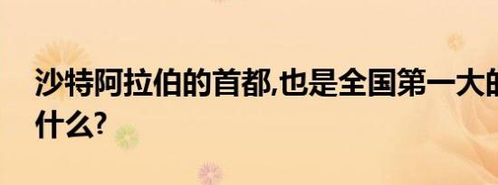 沙特阿拉伯的首都,也是全国第一大的城市叫什么?