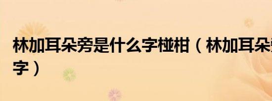 林加耳朵旁是什么字椪柑（林加耳朵旁是什么字）