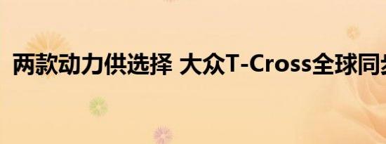 两款动力供选择 大众T-Cross全球同步亮相