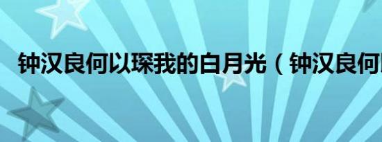 钟汉良何以琛我的白月光（钟汉良何以琛）