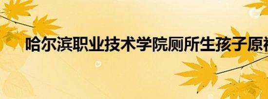 哈尔滨职业技术学院厕所生孩子原视屏