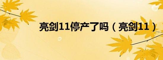 亮剑11停产了吗（亮剑11）