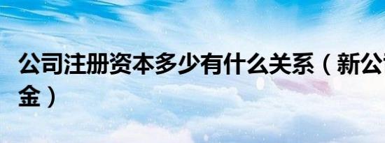 公司注册资本多少有什么关系（新公司注册资金）