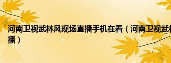 河南卫视武林风现场直播手机在看（河南卫视武林风现场直播）