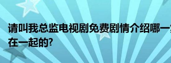 请叫我总监电视剧免费剧情介绍哪一集哪一集在一起的?