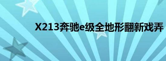 X213奔驰e级全地形翻新戏弄