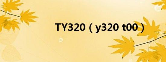 TY320（y320 t00）