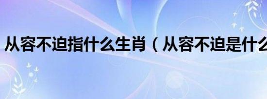 从容不迫指什么生肖（从容不迫是什么生肖）