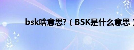 bsk啥意思?（BSK是什么意思）