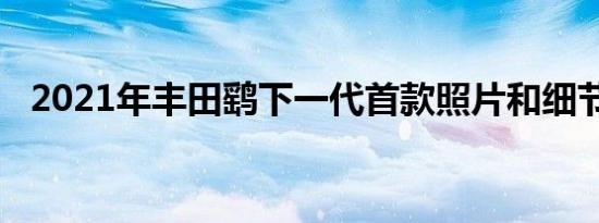 2021年丰田鹞下一代首款照片和细节泄露