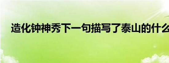 造化钟神秀下一句描写了泰山的什么特点