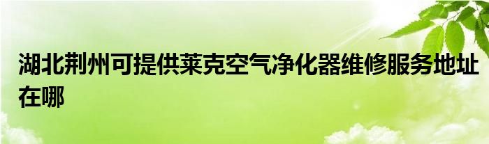 湖北荆州可提供莱克空气净化器维修服务地址在哪