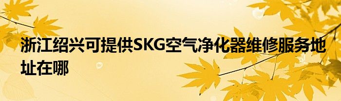 浙江绍兴可提供SKG空气净化器维修服务地址在哪