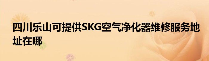 四川乐山可提供SKG空气净化器维修服务地址在哪
