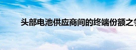 头部电池供应商间的终端份额之争