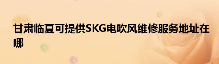 甘肃临夏可提供SKG电吹风维修服务地址在哪