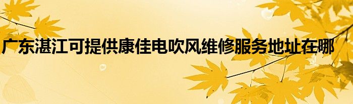 广东湛江可提供康佳电吹风维修服务地址在哪