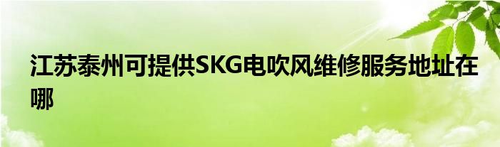 江苏泰州可提供SKG电吹风维修服务地址在哪