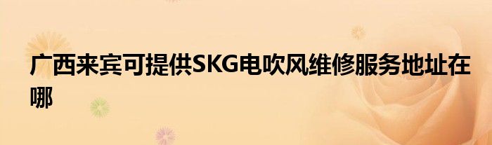 广西来宾可提供SKG电吹风维修服务地址在哪