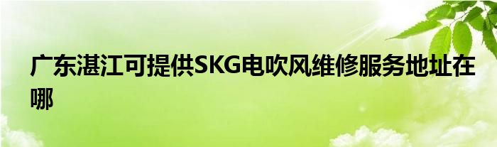 广东湛江可提供SKG电吹风维修服务地址在哪