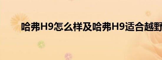 哈弗H9怎么样及哈弗H9适合越野吗