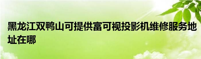 黑龙江双鸭山可提供富可视投影机维修服务地址在哪