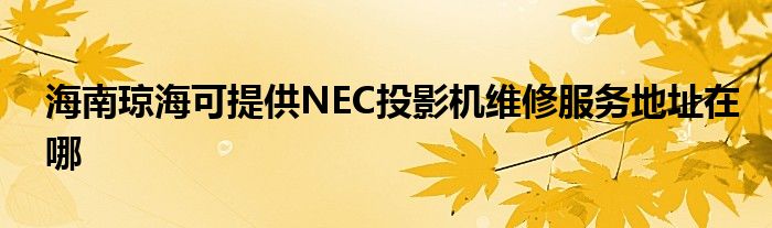 海南琼海可提供NEC投影机维修服务地址在哪