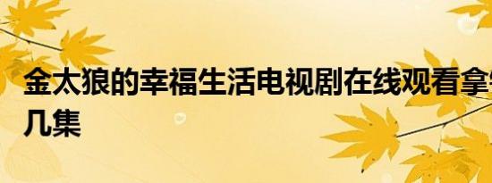 金太狼的幸福生活电视剧在线观看拿错病例第几集