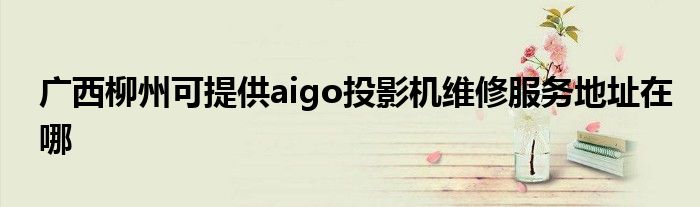广西柳州可提供aigo投影机维修服务地址在哪
