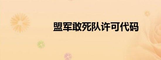 盟军敢死队许可代码