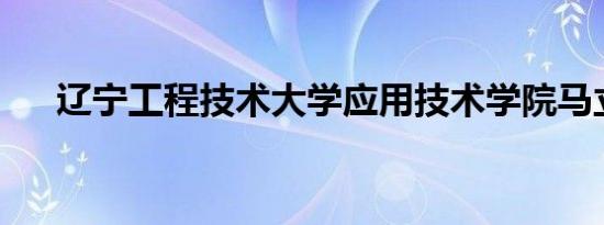 辽宁工程技术大学应用技术学院马立克