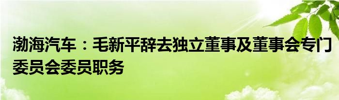 渤海汽车：毛新平辞去独立董事及董事会专门委员会委员职务