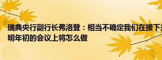 瑞典央行副行长弗洛登：相当不确定我们在接下来的会议和明年初的会议上将怎么做