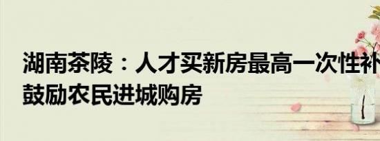 湖南茶陵：人才买新房最高一次性补贴5万元鼓励农民进城购房