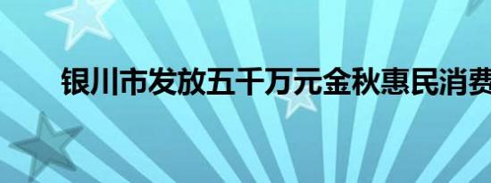 银川市发放五千万元金秋惠民消费券