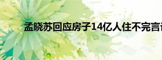 孟晓苏回应房子14亿人住不完言论