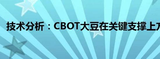 技术分析：CBOT大豆在关键支撑上方盘整