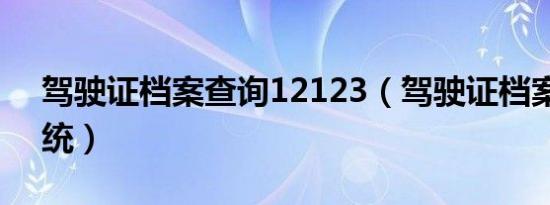 驾驶证档案查询12123（驾驶证档案查询系统）