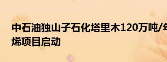 中石油独山子石化塔里木120万吨/年二期乙烯项目启动