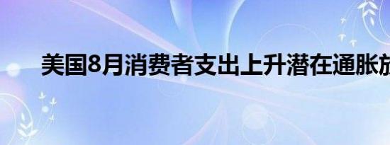 美国8月消费者支出上升潜在通胀放缓